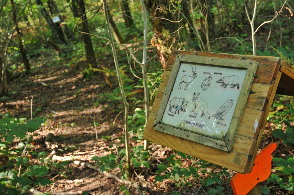 Village De Vacances D'Oignies エクステリア 写真