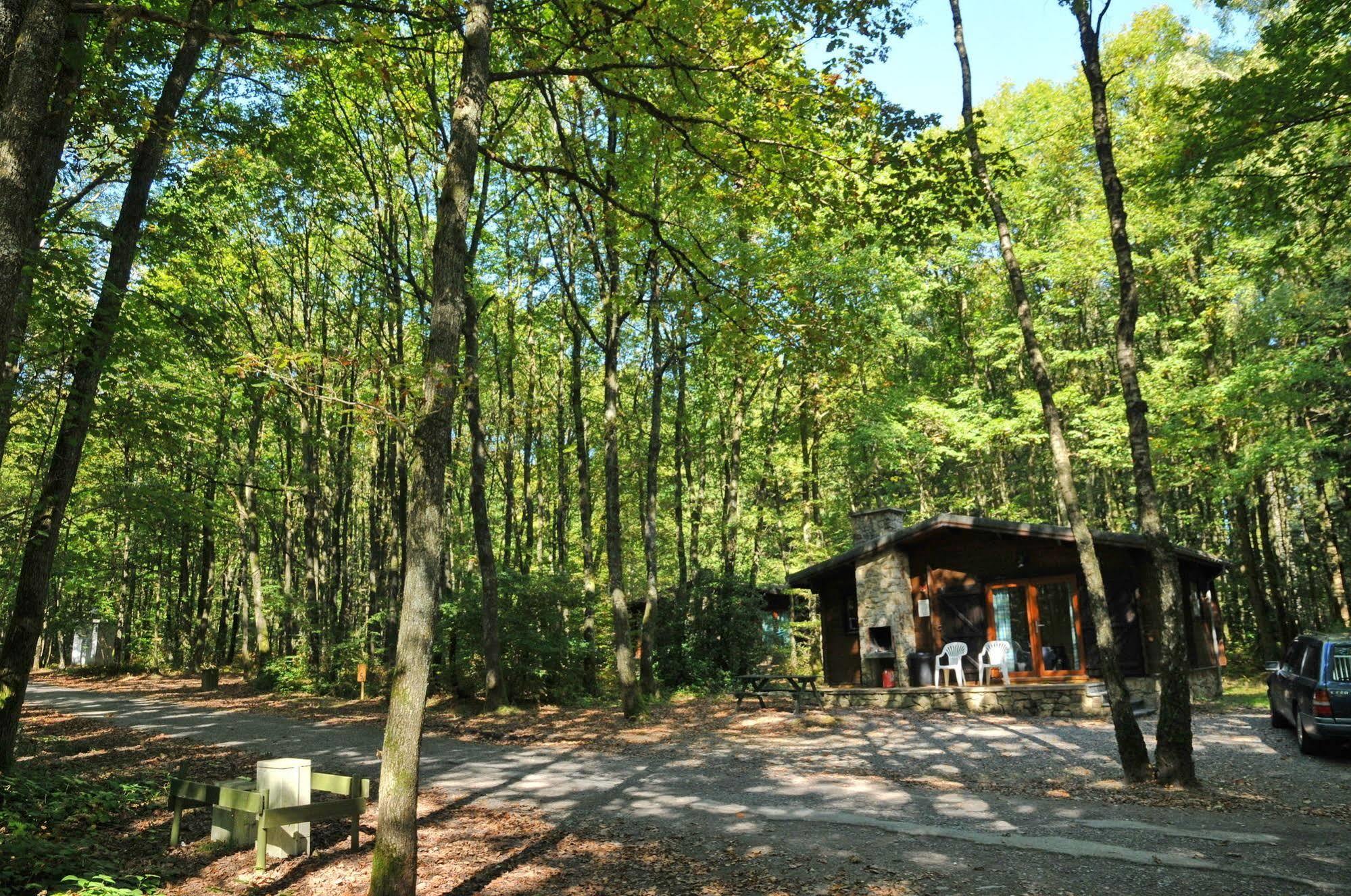 Village De Vacances D'Oignies エクステリア 写真